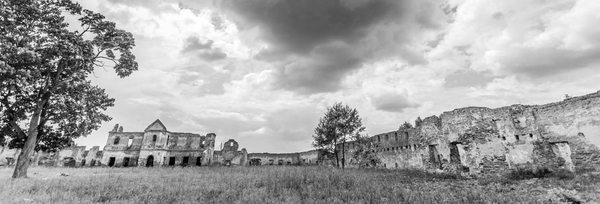 развалины монастыря картезианцев в Березе